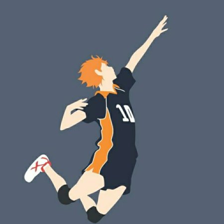 Хината шоё в полный рост в прыжке