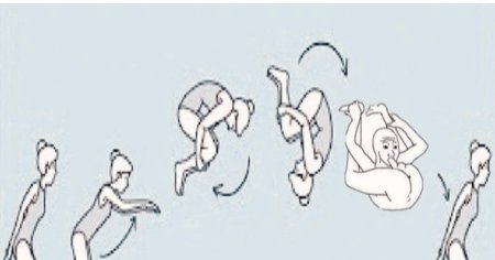 Сальто вперед