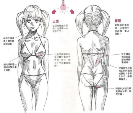 Поэтапное рисование женского тела