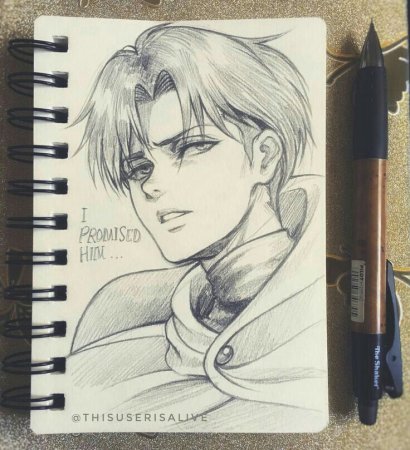 Скетчи Леви Аккерман