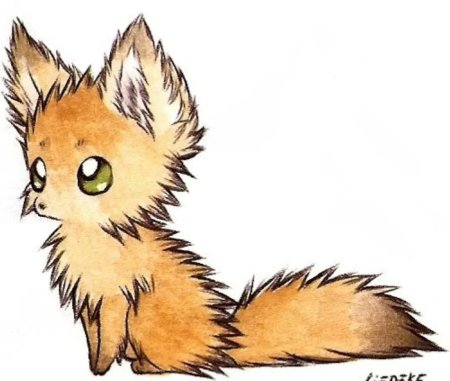 Рисунки Лис для срисовки