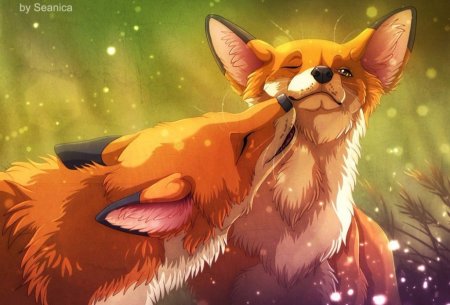 Милые лисы арт