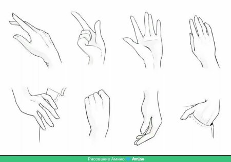 Руки референсы для рисования