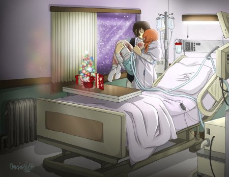 Аниме больница палата Великий из бродячих псов