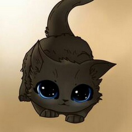 Котики няшки