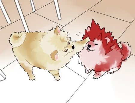 Бакуго Кацуки шпиц