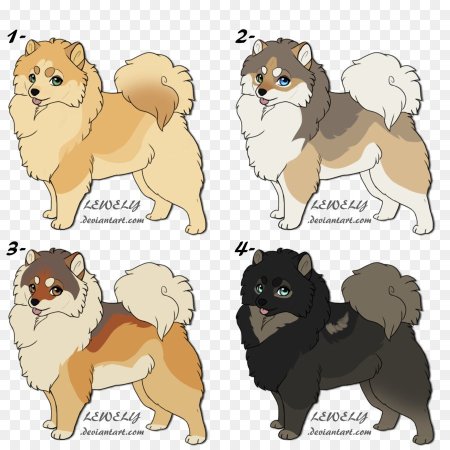 Шпиц померанский Шиба ину