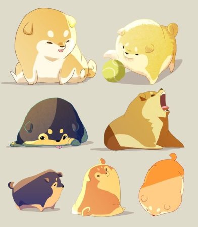 Референсы милых животных