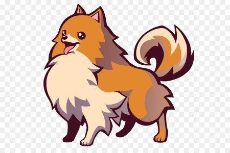 Шпиц на прозрачном фоне рисунок