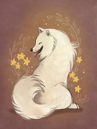 Самоедская лайка арт