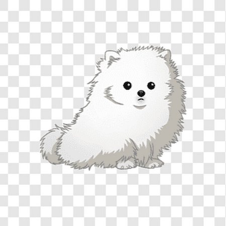 Белый померанский шпиц рисунок