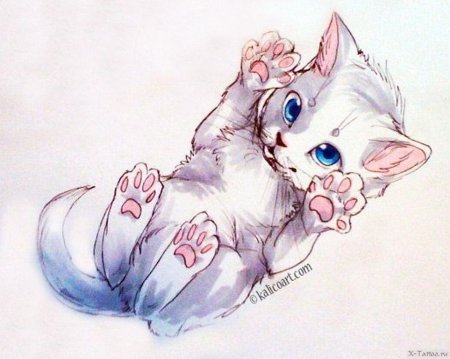 Эскиз котенка