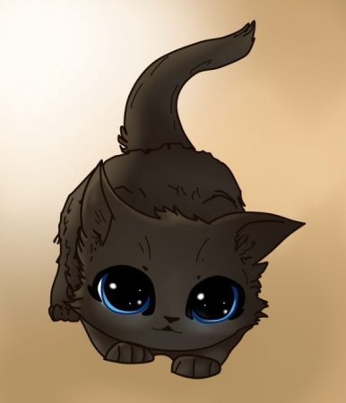 Котята аниме