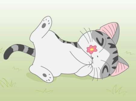 Кот в стиле аниме
