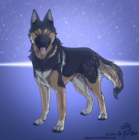 Немецкая овчарка адопт