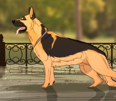 Собака немецкая овчарка референс