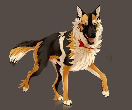 Немецкая овчарка аниме