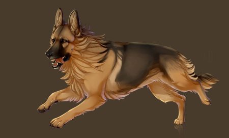 Немецкая овчарка арты