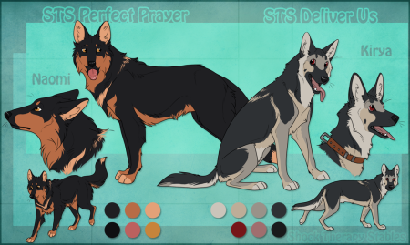 Собака немецкая овчарка референс