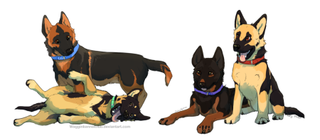 Немецкая овчарка аниме