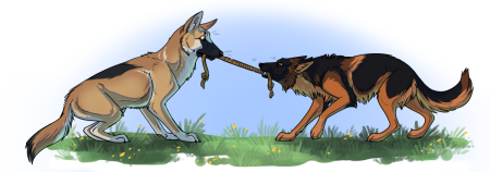 Арт волк и немецкая овчарка