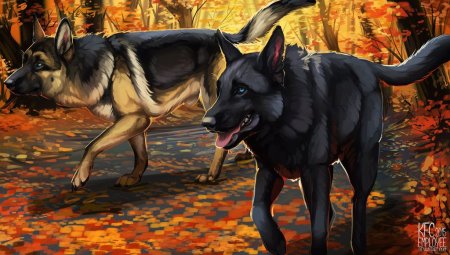 Хроники стаи Белла