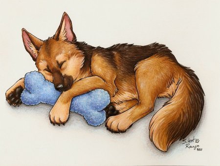 Спящие животные арт