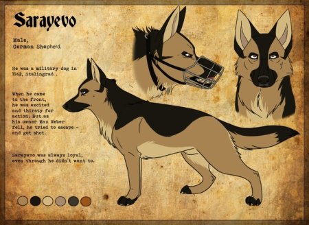 Референс собаки овчарки