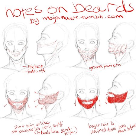 Борода референс