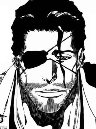 СЮНСУЙ кёраку арт