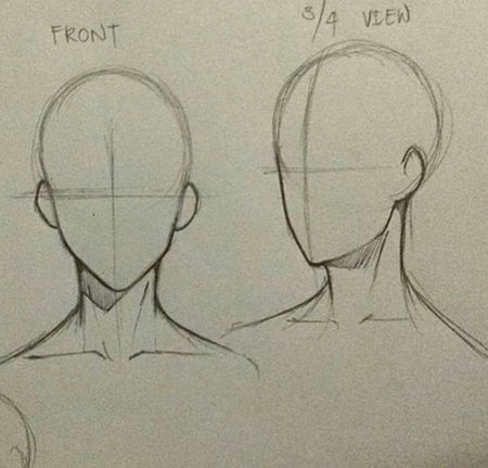 Голова 3/4 референс аниме