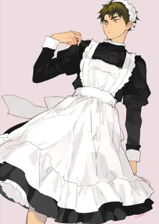 Вакатоши горничная