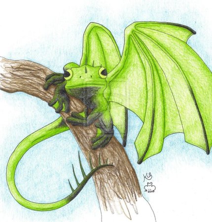 Жаба дракон