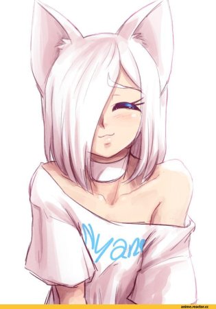 Аниме кошка