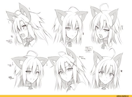 Аниме девушки с ушками волка