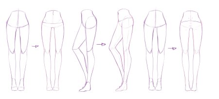 Ноги референс анатомия