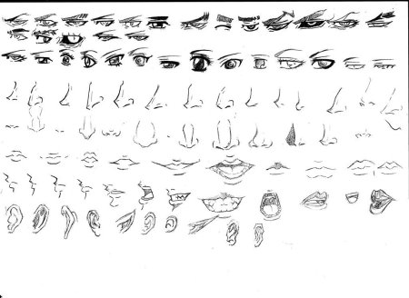 Аниме нос спереди