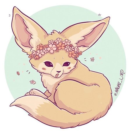 Наоми Лорд фенек