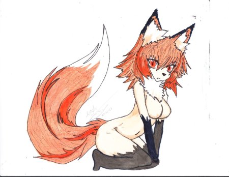 Найт Фокс аниме