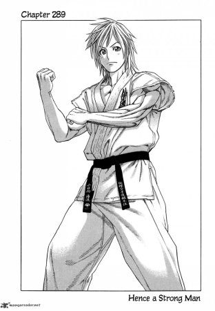 Karate Shoukoushi арт