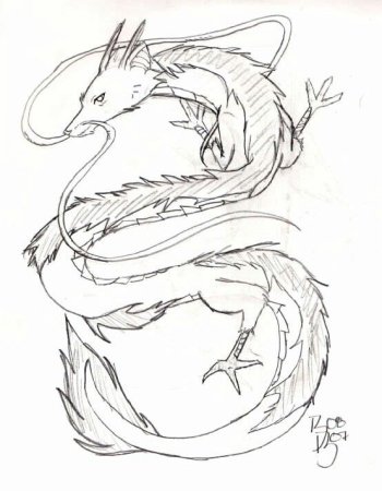 Хаку Унесенные призраками дракон