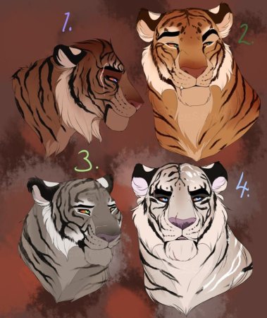 Туториалы тигров