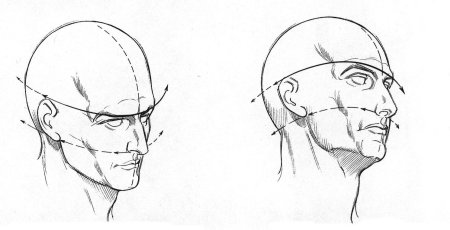 Рисование головы человека в профиль