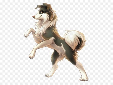 Бордер колли фурри