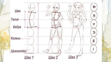 Аниме пропорции тела