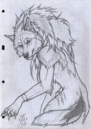 Рисование аниме оборотней