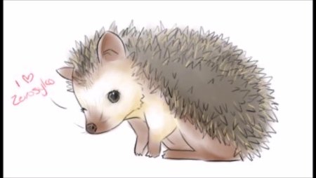 Злой еж арт
