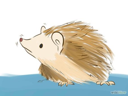 Милый Ежик аниме