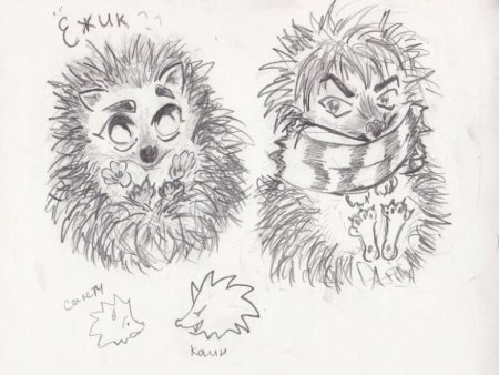 Милый Ежик рисунок