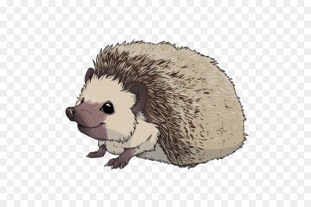 Ежик фэнтези